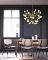 WOMO Heracleum/Firefly Chandelier-WM2113 thumbnail