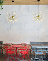 WOMO Heracleum/Firefly Chandelier-WM2113 thumbnail