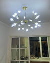 WOMO Heracleum/Firefly Chandelier-WM2113 thumbnail