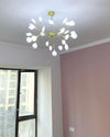 WOMO Heracleum/Firefly Chandelier-WM2113 thumbnail