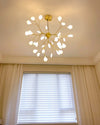 WOMO Heracleum/Firefly Chandelier-WM2113 thumbnail