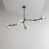 WOMO Branching Bubble Chandelier-WM2254 thumbnail