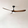 WOMO Large Propeller Ceiling Fan Lamp-WM5041 thumbnail