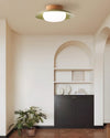 WOMO Dome Flush Mount Ceiling Light-WM1167 thumbnail