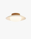 WOMO Dome Flush Mount Ceiling Light-WM1167