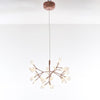 WOMO Heracleum/Firefly Branch Chandelier-WM2072 thumbnail