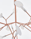 WOMO Heracleum/Firefly Branch Chandelier-WM2072 thumbnail