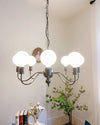 WOMO Glass Globe Black Arm Chandelier-WM2173 thumbnail