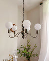WOMO Glass Globe Black Arm Chandelier-WM2173 thumbnail