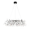 WOMO Heracleum/Firefly Round Chandelier-WM2435 thumbnail