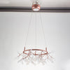WOMO Heracleum/Firefly Round Chandelier-WM2435 thumbnail