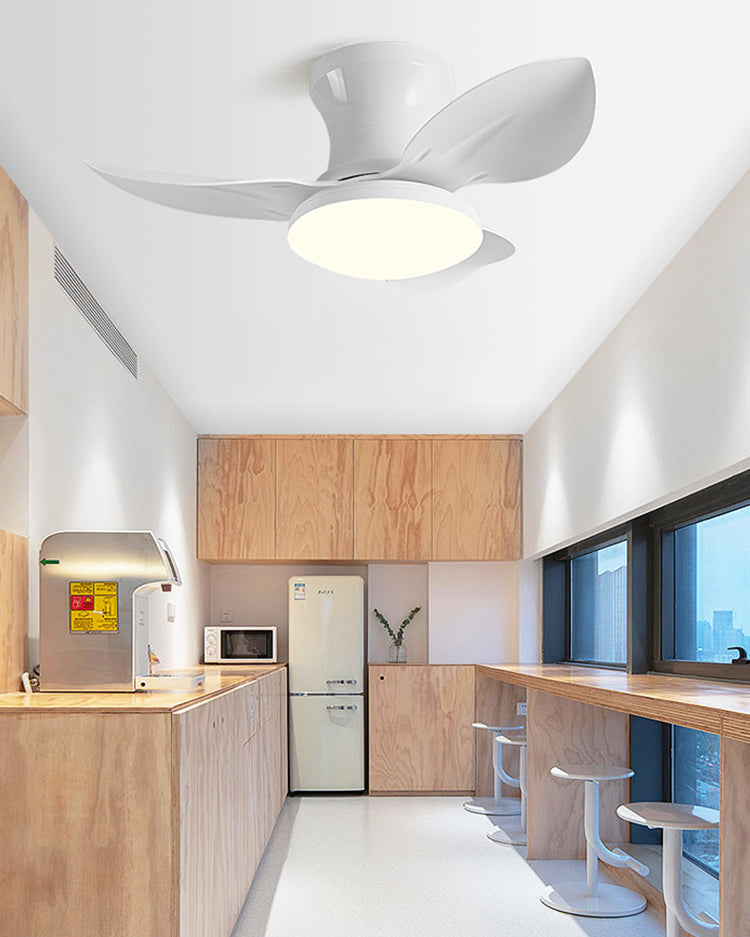 WOMO Small Ceiling Fan Lamp - WM5175