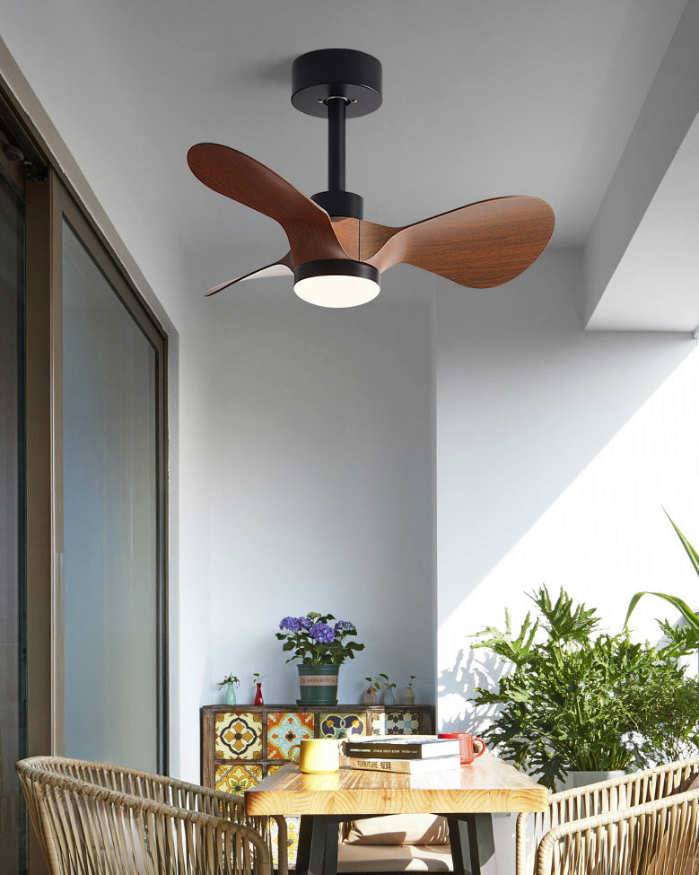 WOMO 24 inch Small Ceiling Fan Lamp- WM5172