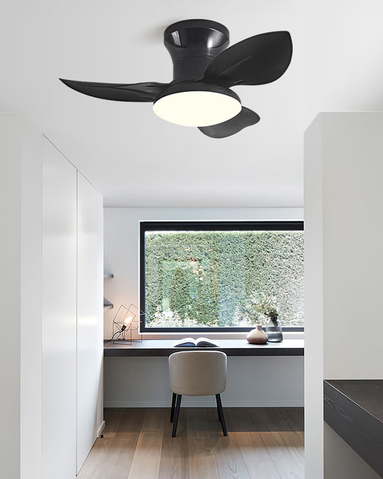 WOMO Small Ceiling Fan Lamp - WM5175