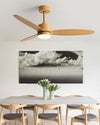WOMO 3 Blade Ceiling Fan Lamp - WM5184 thumbnail