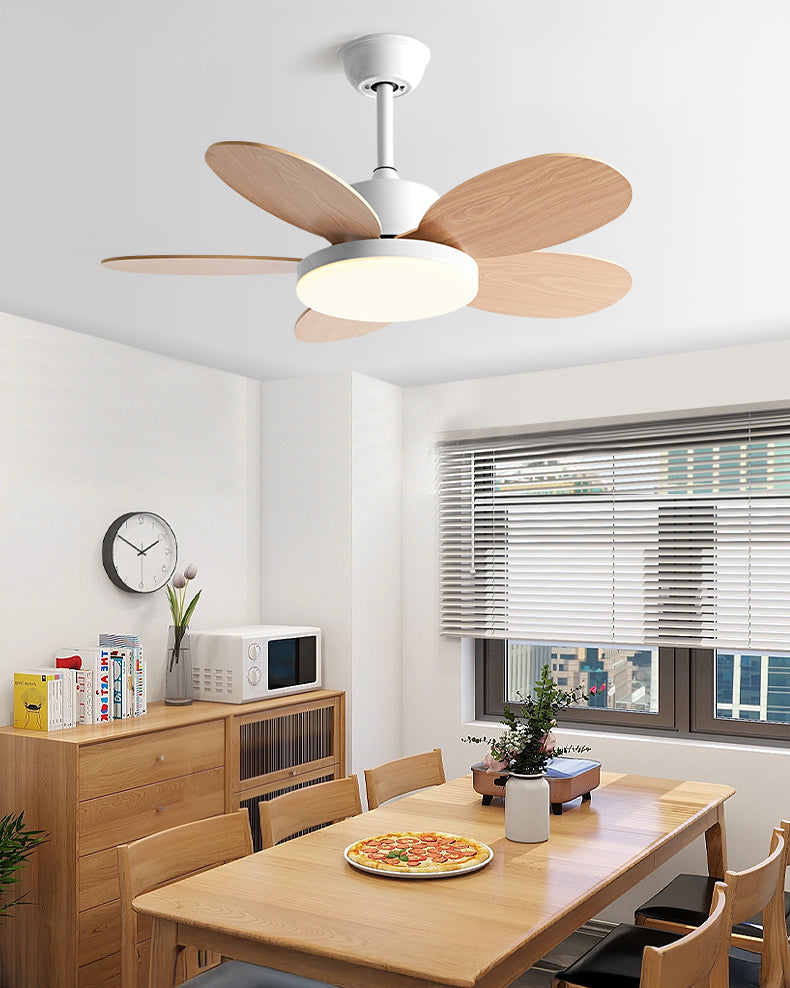 WOMO 36 Inch Children Ceiling Fan Lamp - WM5187