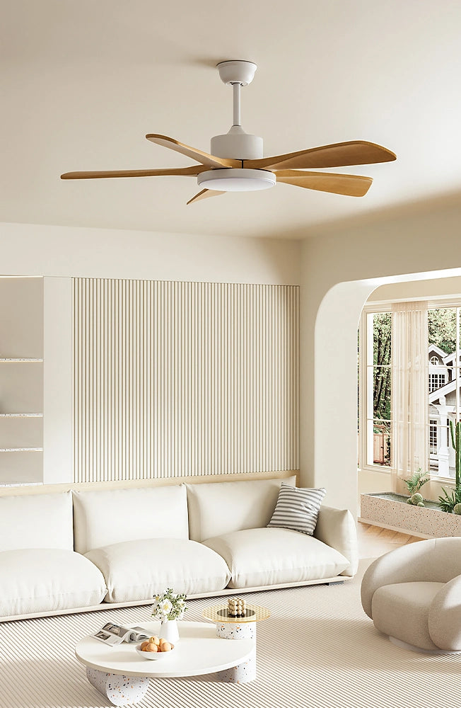 Ceiling Fan Lamps