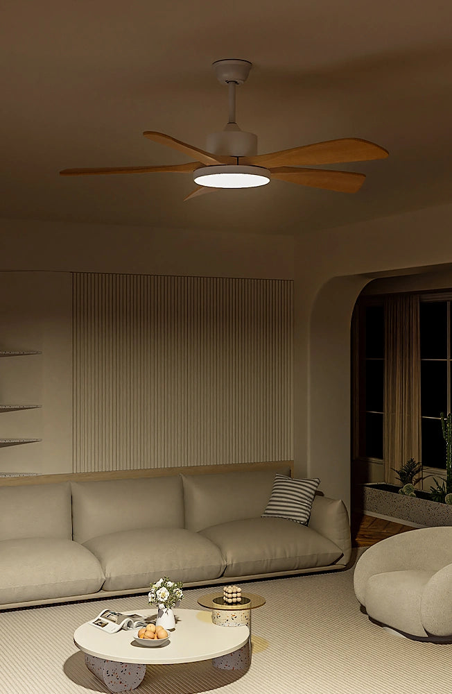 Ceiling Fan Lamps
